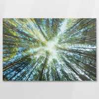 AC-090W060