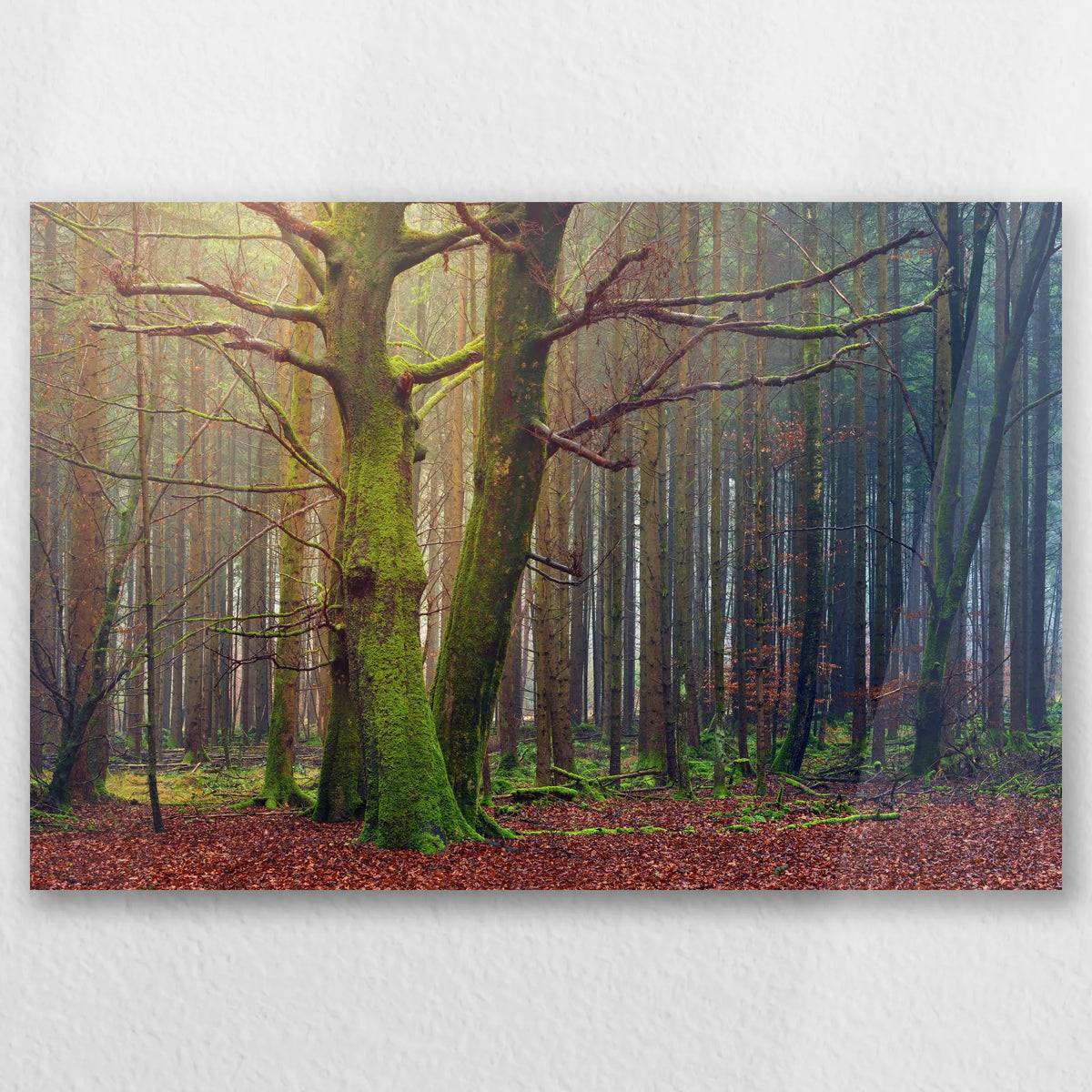 AC-045W030