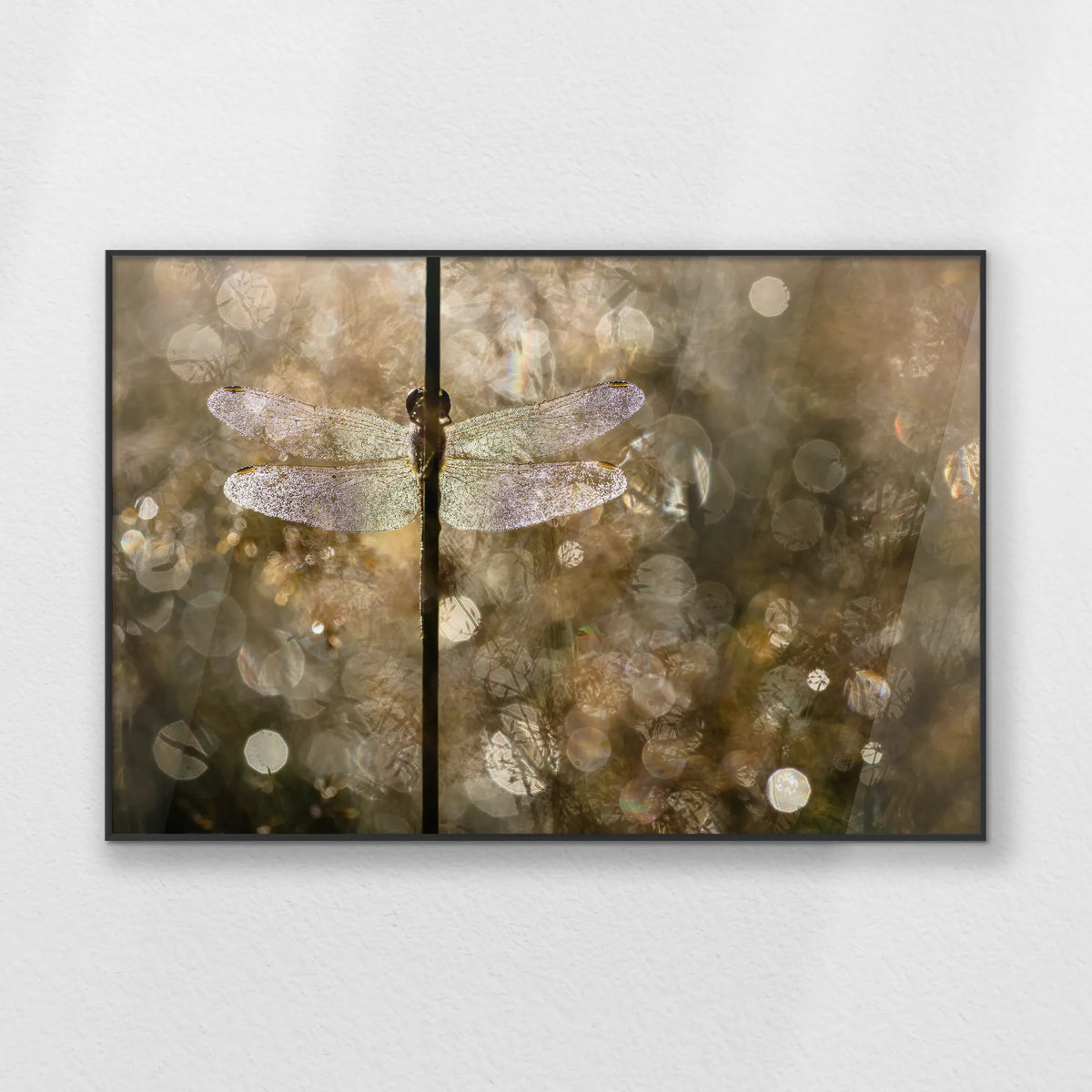 PB-100W070