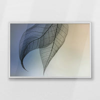 PW-093W062