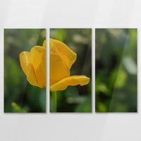 AL-150R100