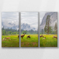 LW-060R040