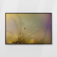 LWN120W080