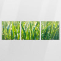 AC-240S080