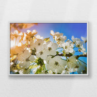 LWW100W070