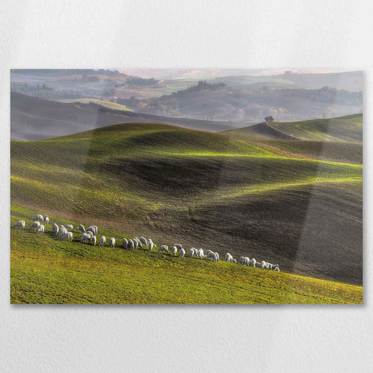 AL-075W050
