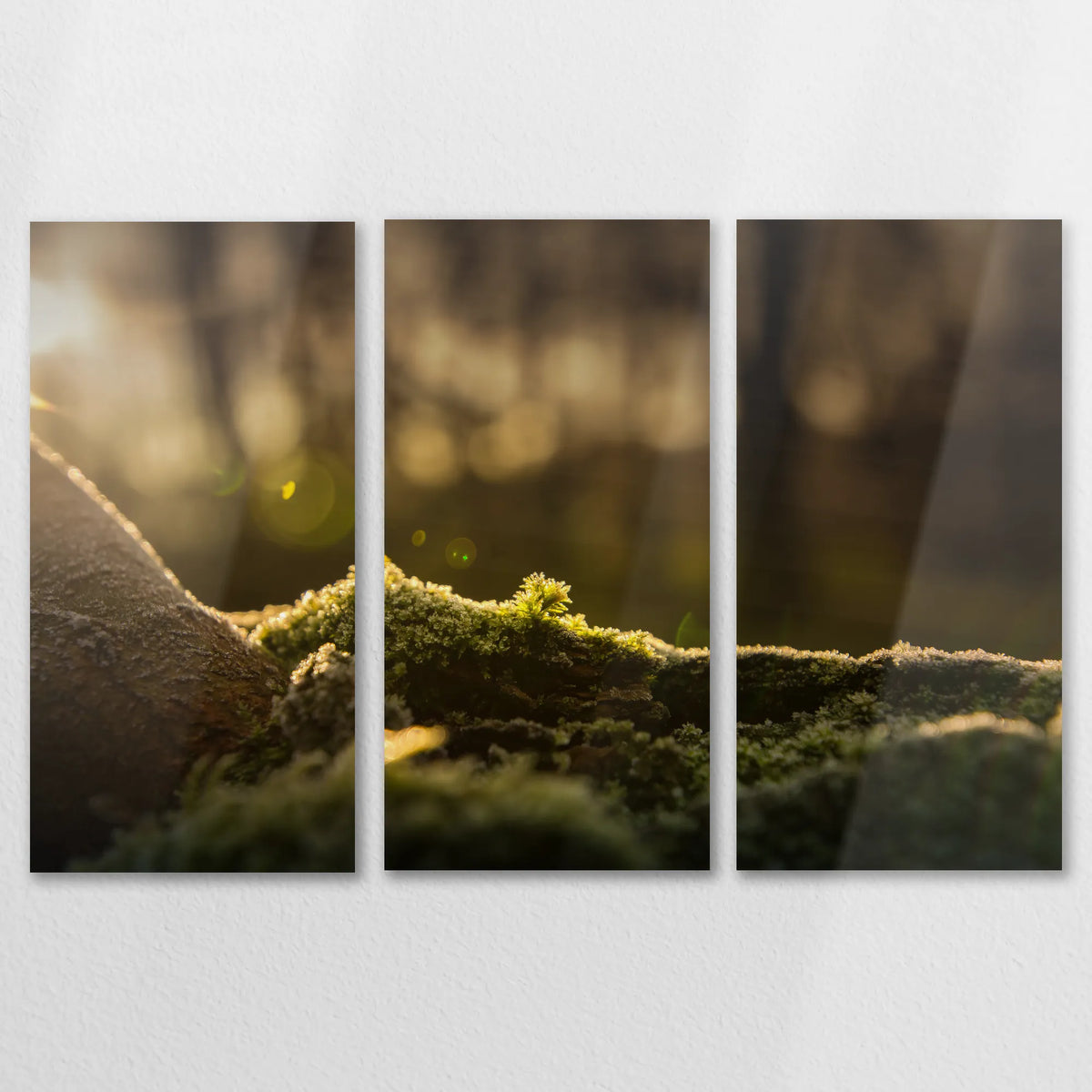AL-150R100