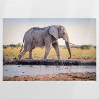 PO-075W050
