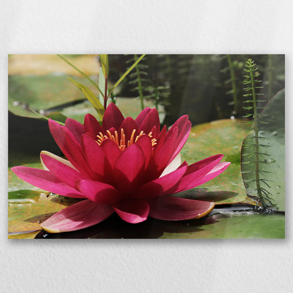 AL-060W040