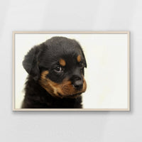 PN-093W062