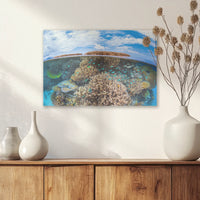 AC-030W020