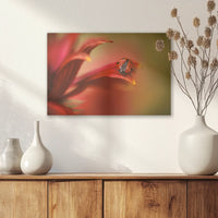 AL-045W030