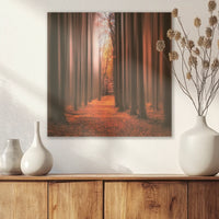 AC-030W030