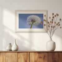 PNP060W040