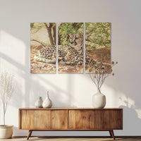 AC-150R100