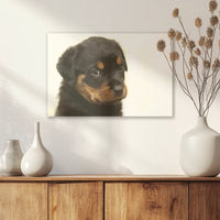AL-045W030