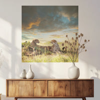 PO-070W070