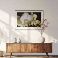 PBP120W080