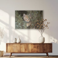 PS-093W062