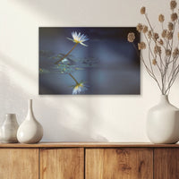 AL-030W020