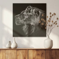 AL-050W050