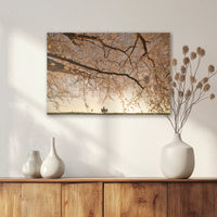 AL-060W040