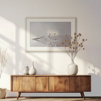 PNP093W062