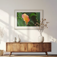 PNP093W062