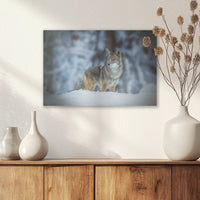 AL-045W030