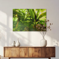 AC-075W050