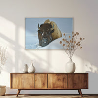 PS-100W070