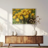 LWW100W070