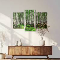 AC-120T080