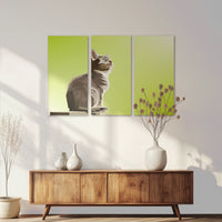 AC-120R080
