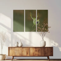 AC-120R080