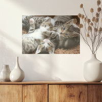 PO-030W020