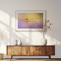 PNP100W070