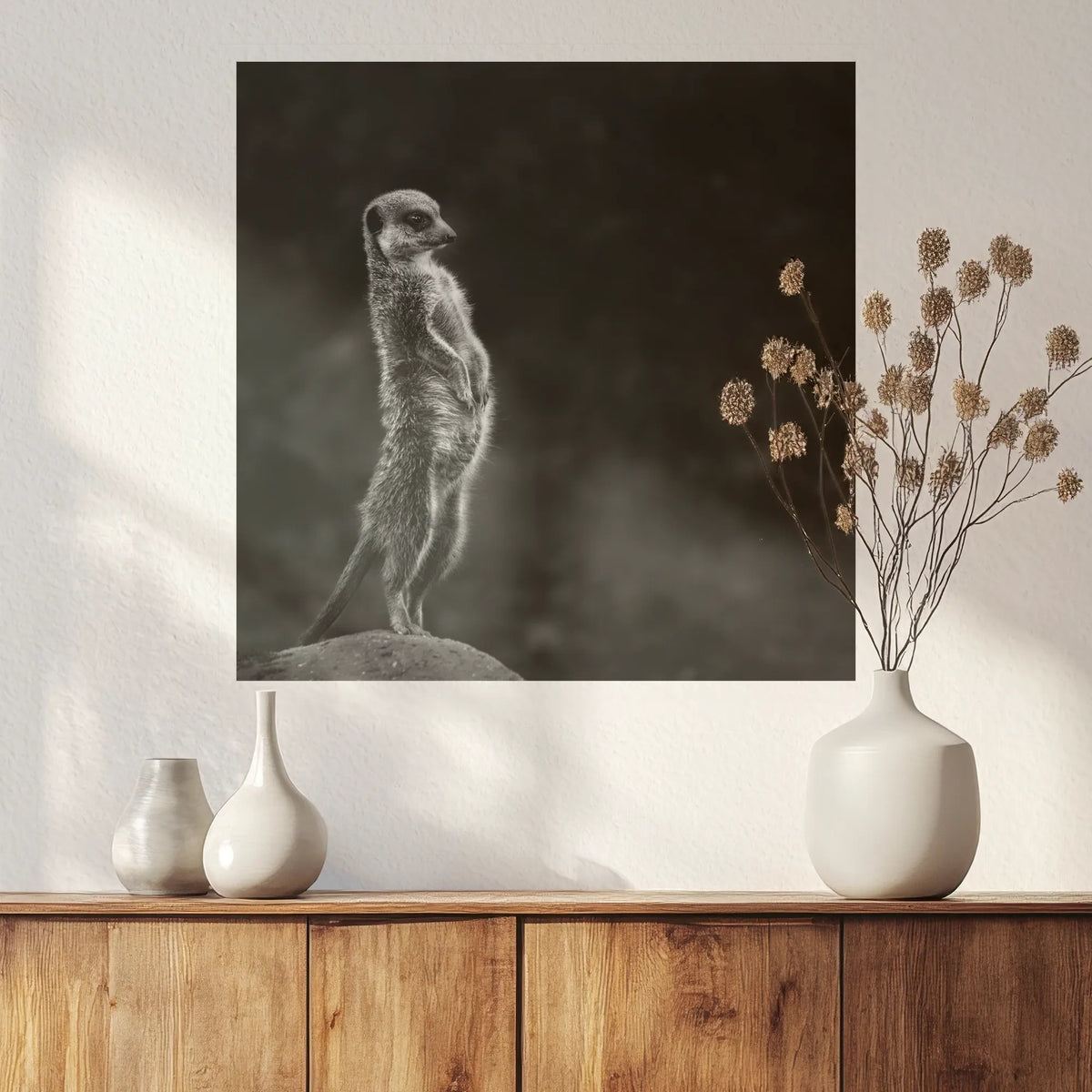 PO-050W050