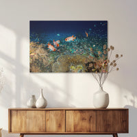 AL-075W050