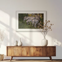 PSP093W062