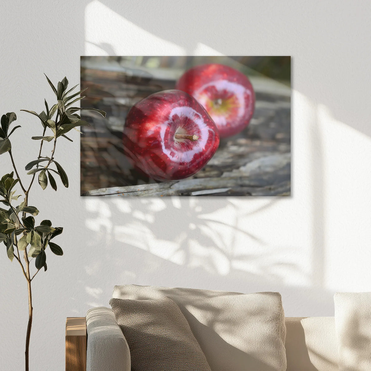 AC-075W050