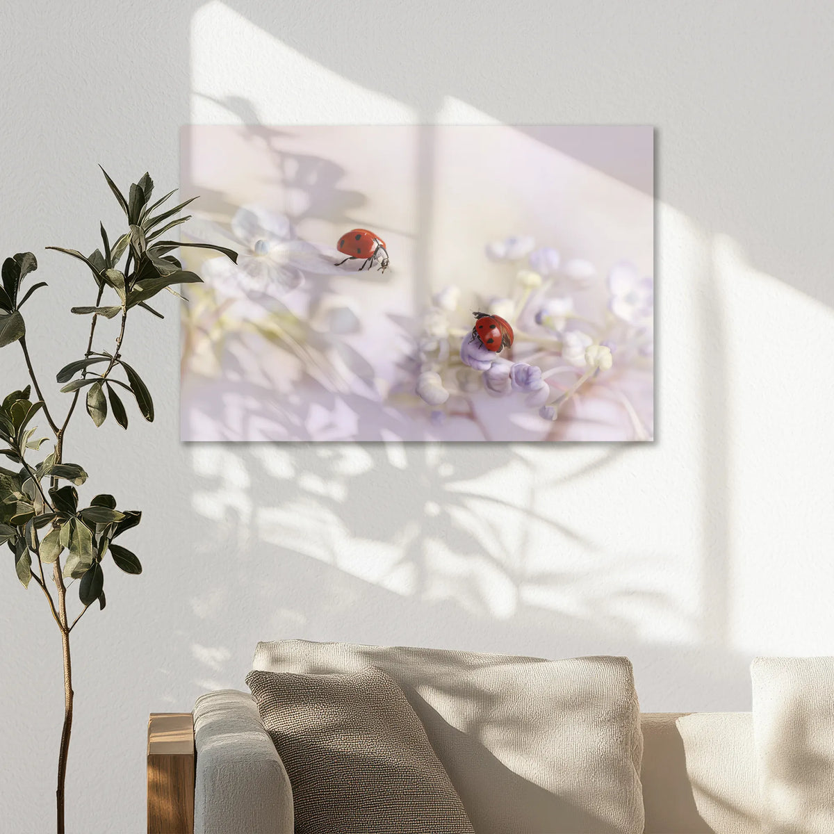 AL-075W050