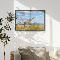 PK-093W062