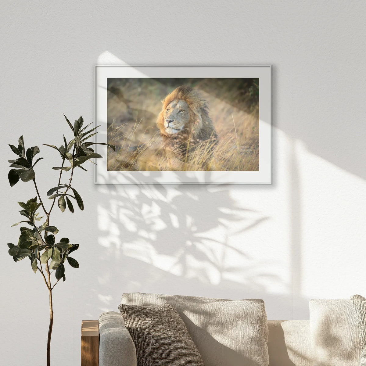 PSP120W080