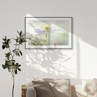 PBP120W080