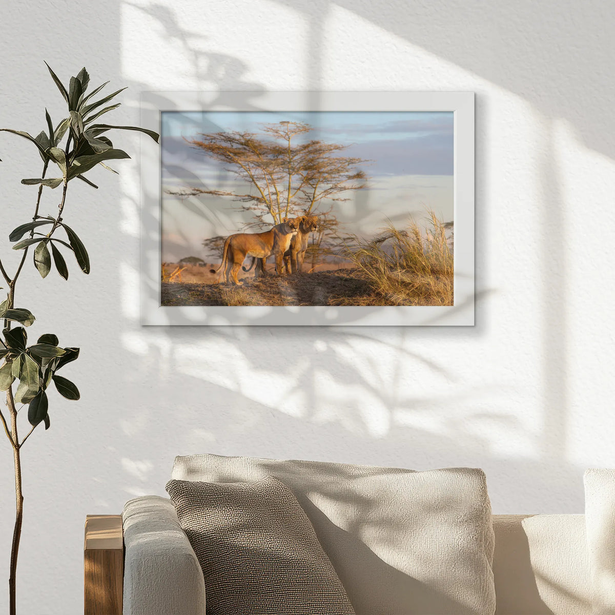 LWW030W020
