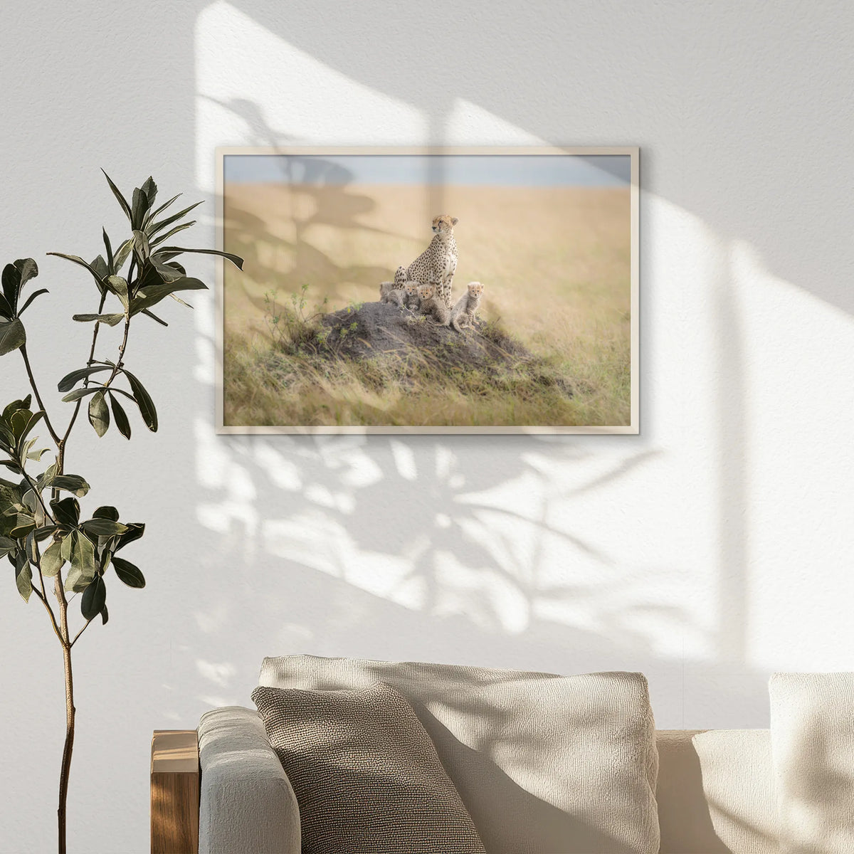 PN-093W062