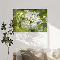 LW-120W080