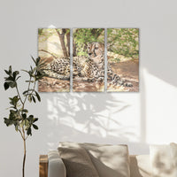 LW-120R080
