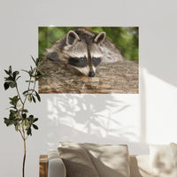 PO-120W080